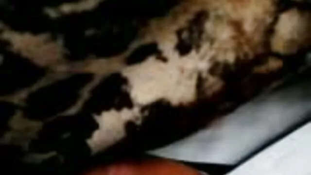 Одлично :  Плавуша се заебава како порно ѕвезда, а нејзиниот маж прави POV видео Секси жешка порно 