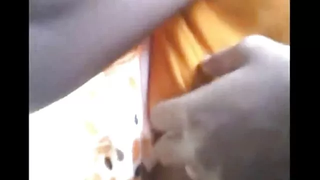 Одлично :  Бујна курва сака да се закопа тешко Секси жешка порно 
