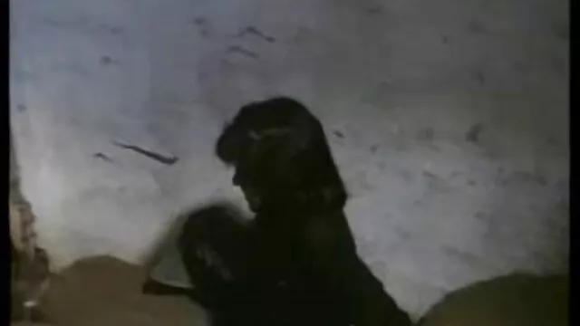 Одлично :  Белиот човек ја замени својата девојка со азиски дечко за откачена сесија за ебање со свинг Секси жешка порно 